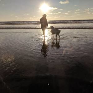 Meet your Posher, Barbara